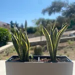 Clori
